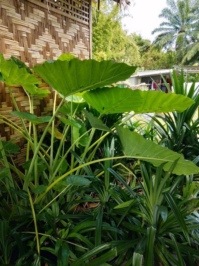 Meechok Organic Home Ao Nang Buitenkant foto